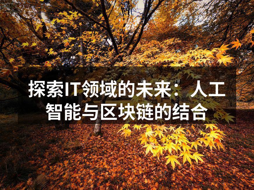 探索IT领域的未来：人工智能与区块链的结