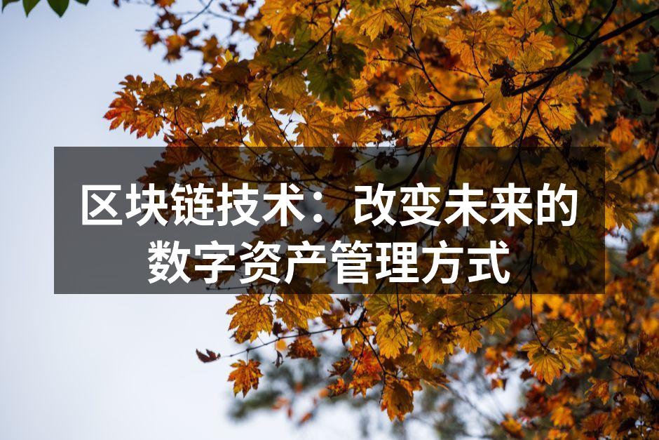 区块链技术：改变未来的数字资产管理方式